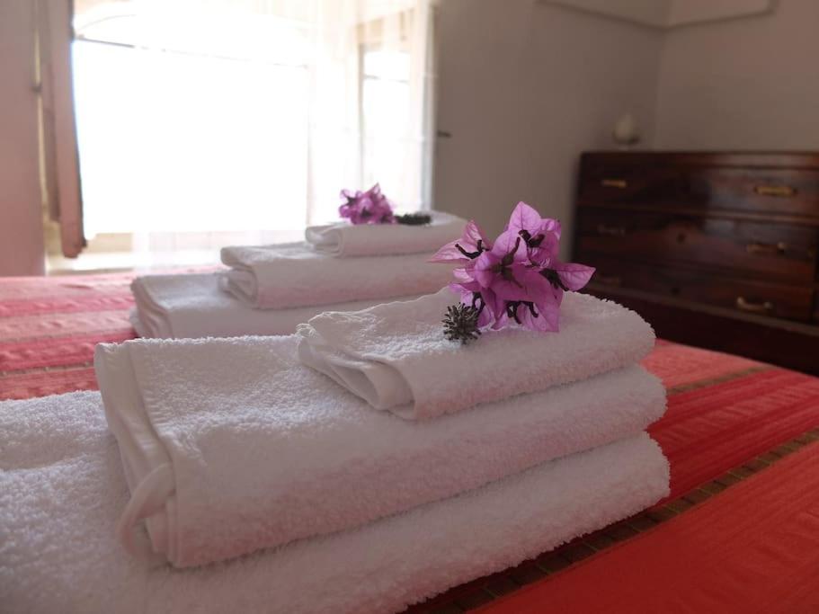 Casa Stella Nell'aia Holiday home *