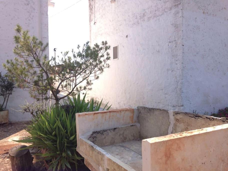 Casa Stella Nell'aia * Cisternino